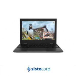 NOTEBOOK LENOVO 11.6 100E N4000 64GB W10S (81M8001HAR) - Imagen 1