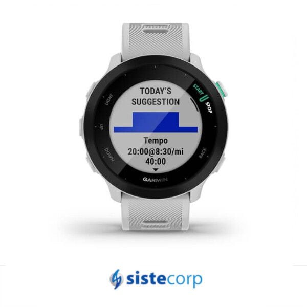 SMARTWATCH GARMIN FORERUNNER 55, GPS, NA, WHITESTONE (010-02562-01)