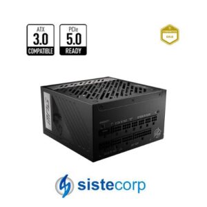 FUENTE 1000W MSI 80 PLUS GOLD MPG A1000G PCIE5 (306-7ZP7C21-CE0) - Imagen 1